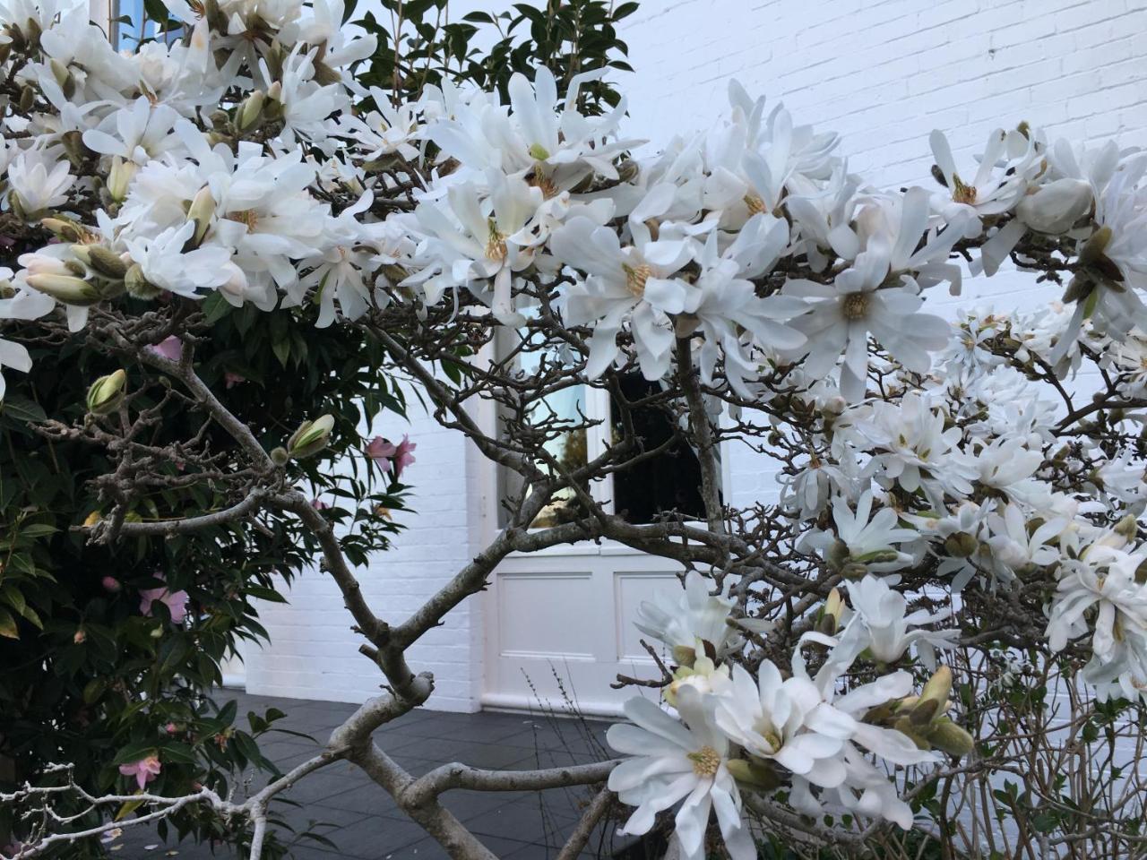 Boscobel Of Tasmania Bed and Breakfast Ulverstone Εξωτερικό φωτογραφία